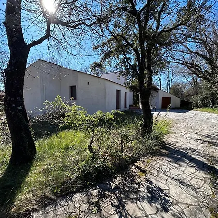 Maison D'architecte Piscine Wifi 10 Personnes * Rochefort-du-Gard